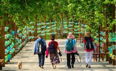 山泉覓清涼，隱匿在大山深處的最美齊長城百果園休閑觀光活動