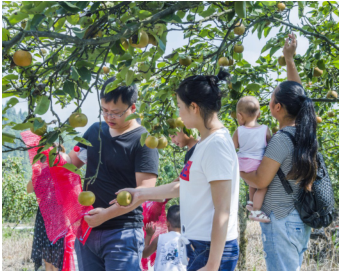 鏡頭下的悠然時(shí)光 探索休閑觀光活動(dòng)中的視覺敘事