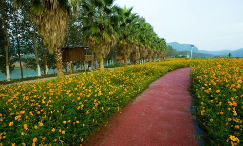 元旦出行大禮包丨人少景美不看海，山野閑趣與古韻新姿伴你跨年